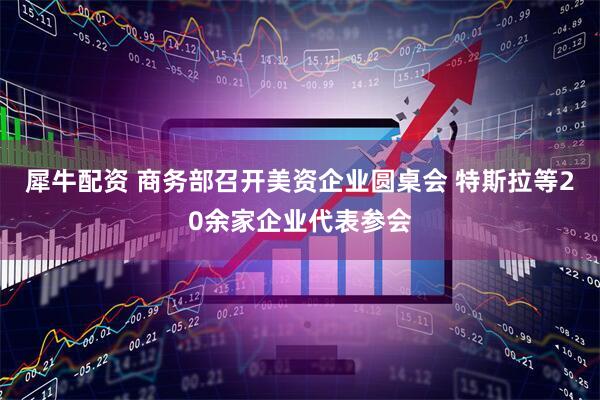 犀牛配资 商务部召开美资企业圆桌会 特斯拉等20余家企业代表参会