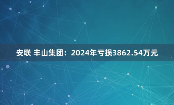 安联 丰山集团：2024年亏损3862.54万元