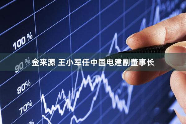金来源 王小军任中国电建副董事长