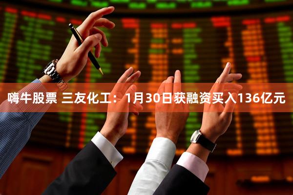 嗨牛股票 三友化工：1月30日获融资买入136亿元
