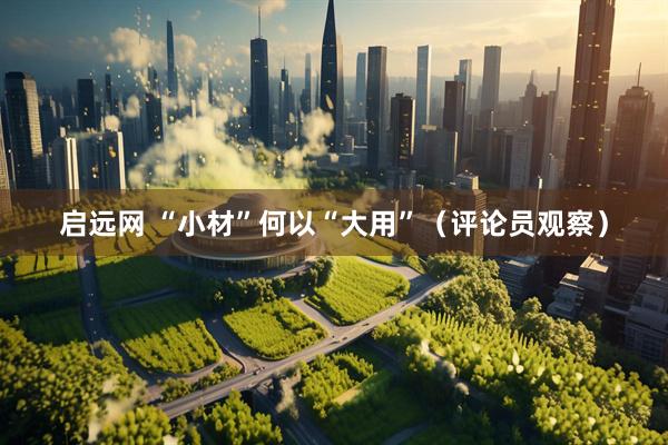 启远网 “小材”何以“大用”（评论员观察）
